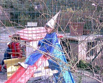 Festa di Carnevale 2004