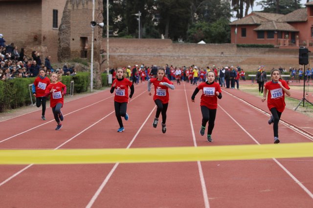 Menneadi 2019