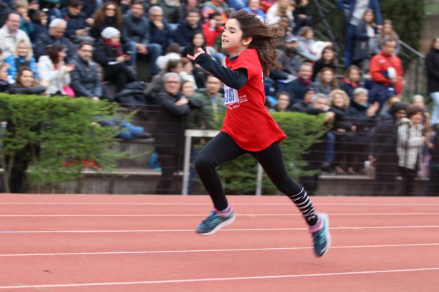 Menneadi 2019