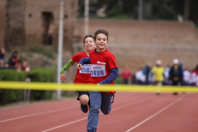 Menneadi 2019