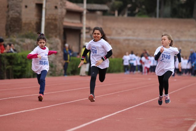 Menneadi 2019