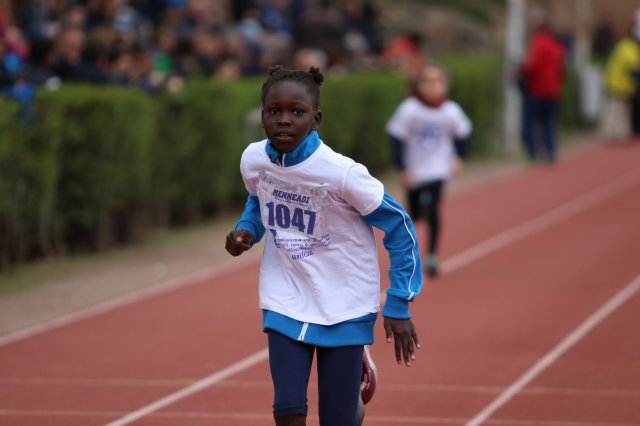 Menneadi 2019