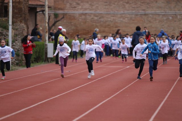 Menneadi 2019