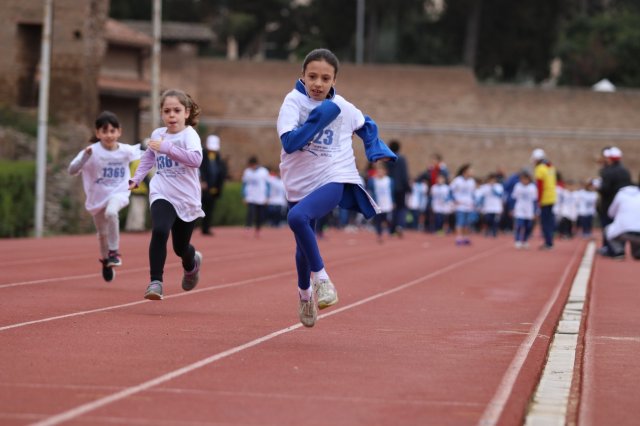 Menneadi 2019