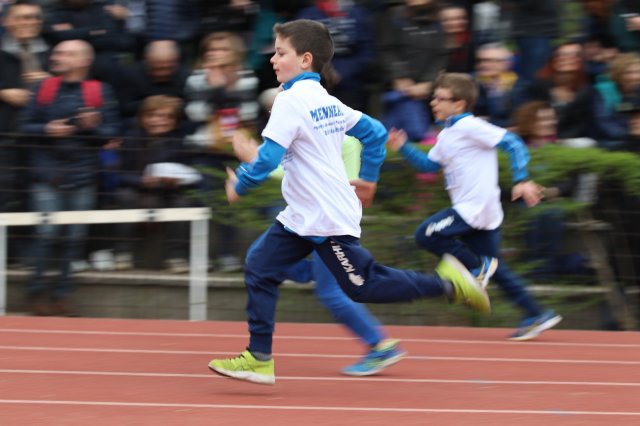 Menneadi 2019