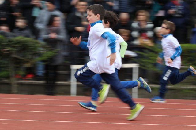 Menneadi 2019